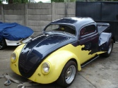 Collin's Beetle